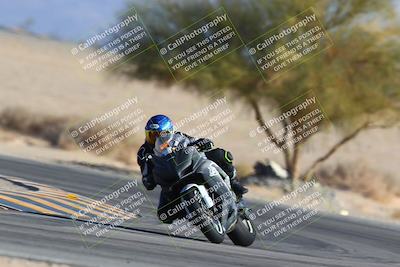 media/Jan-14-2024-SoCal Trackdays (Sun) [[2e55ec21a6]]/Turn 4 Tree of Life (155pm)/